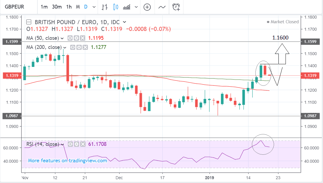 GBP to EUR graph daily graph 20 Jan "Width =" 600