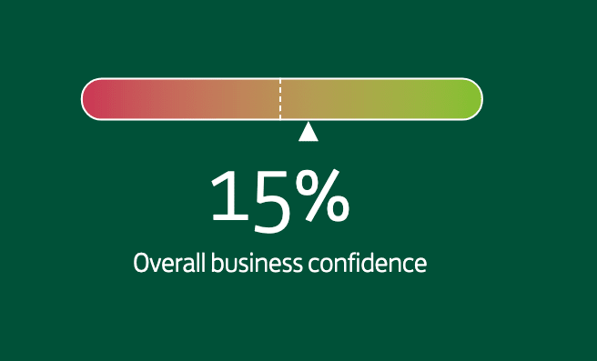 Business confidence rises