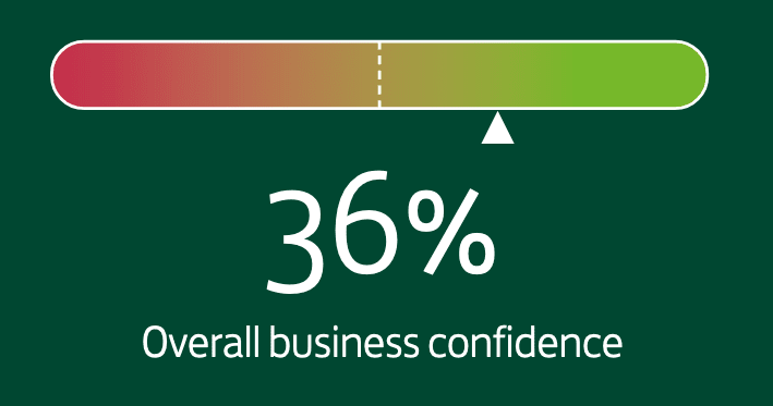 Business confidence rebounds